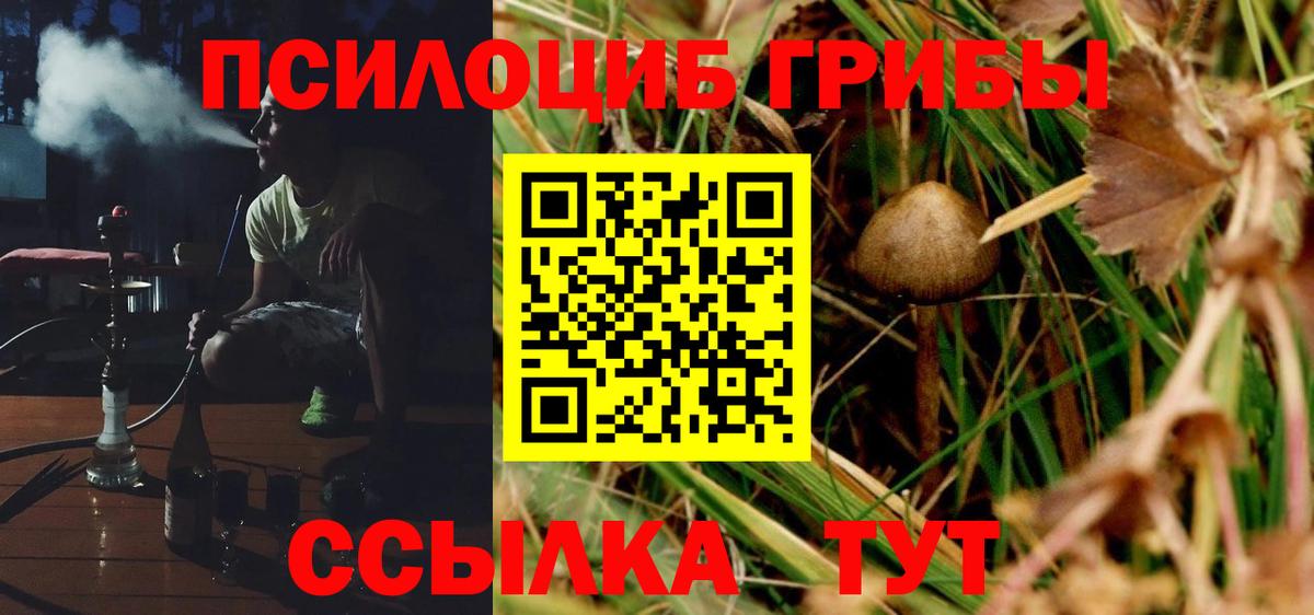 Нарткала  Галлюциногенные грибы ЛСД  Вход с VPN 